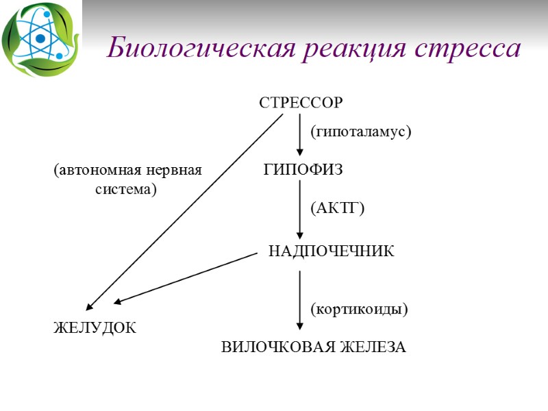 Биологическая реакция стресса
